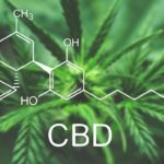 Why Choosing A Trusted CBD Manufacturer Is Essential For Quality And Safety?