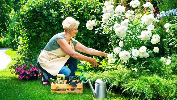 Precision Gardening: How Smart Tools Are Helping Gardeners Grow More with Less